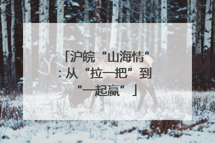 沪皖“山海情”：从“拉一把”到“一起赢”