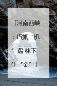 河南西峡：巧抓“机”遇 林下生“金”