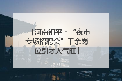 河南镇平：“夜市专场招聘会”千余岗位引才人气旺