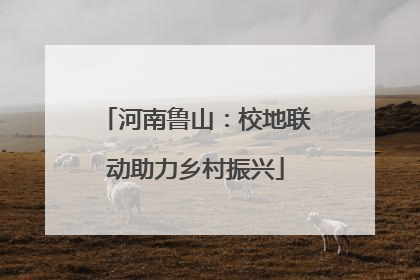 河南鲁山：校地联动助力乡村振兴