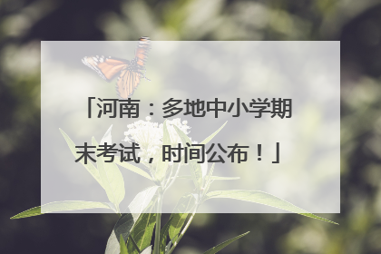 河南：多地中小学期末考试，时间公布！