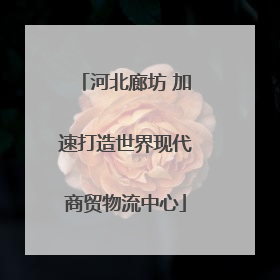 河北廊坊 加速打造世界现代商贸物流中心