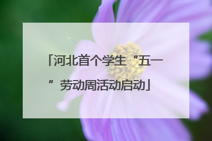 河北首个学生“五一”劳动周活动启动
