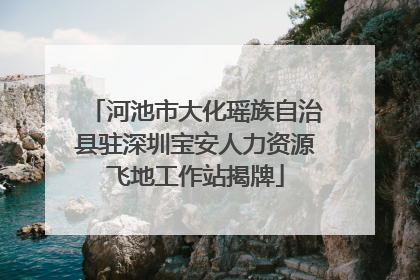 河池市大化瑶族自治县驻深圳宝安人力资源飞地工作站揭牌