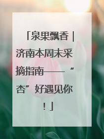 泉果飘香｜济南本周末采摘指南——“杏”好遇见你！