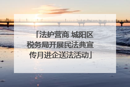 法护营商 城阳区税务局开展民法典宣传月进企送法活动