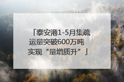 泰安港1-5月集疏运量突破600万吨 实现“量增质升”