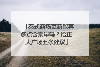 泰式商场更新能再多点含泰量吗？给正大广场五条建议