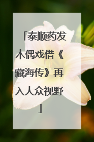 泰顺药发木偶戏借《藏海传》再入大众视野
