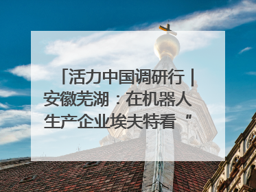 活力中国调研行｜安徽芜湖：在机器人生产企业埃夫特看“中国智造”