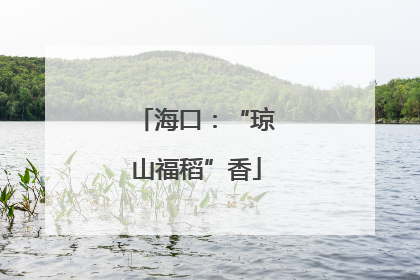 海口：“琼山福稻”香