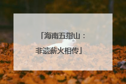 海南五指山：非遗薪火相传