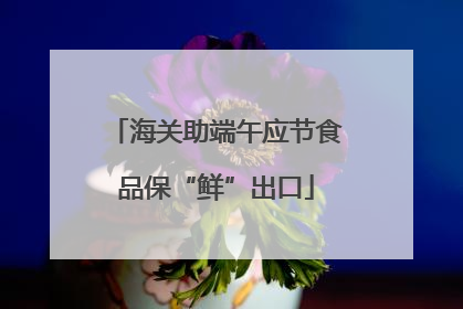 海关助端午应节食品保“鲜”出口