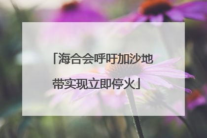 海合会呼吁加沙地带实现立即停火