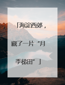 海淀西郊，藏了一片“月季梯田”
