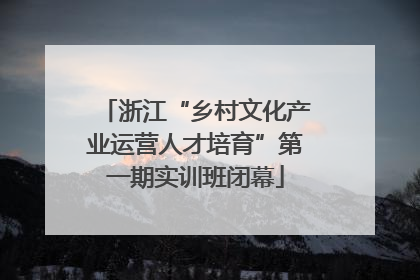 浙江“乡村文化产业运营人才培育”第一期实训班闭幕