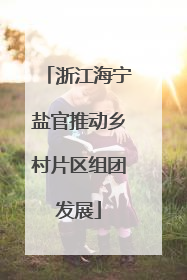 浙江海宁盐官推动乡村片区组团发展