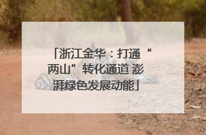 浙江金华：打通“两山”转化通道 澎湃绿色发展动能