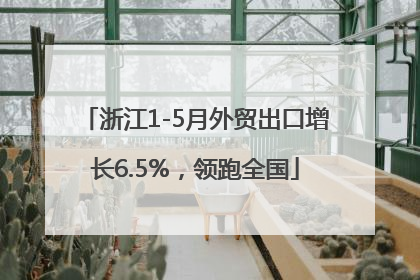 浙江1-5月外贸出口增长6.5%，领跑全国