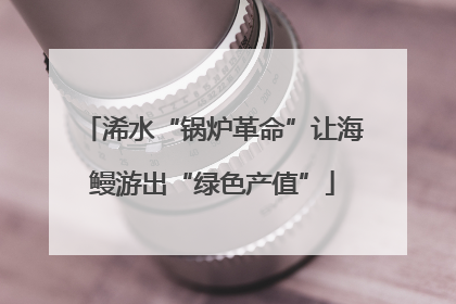 浠水“锅炉革命”让海鳗游出“绿色产值”