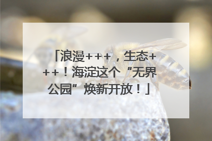 浪漫+++，生态+++！海淀这个“无界公园”焕新开放！