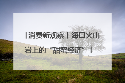 消费新观察丨海口火山岩上的“甜蜜经济”