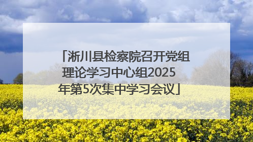 淅川县检察院召开党组理论学习中心组2025年第5次集中学习会议