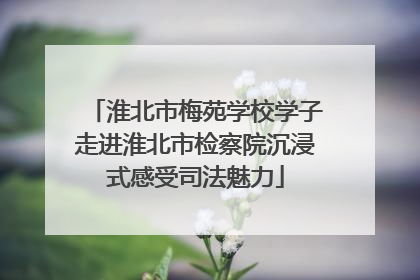 淮北市梅苑学校学子走进淮北市检察院沉浸式感受司法魅力