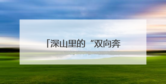 深山里的“双向奔赴”：驻村帮扶激活茅坪村致富引擎