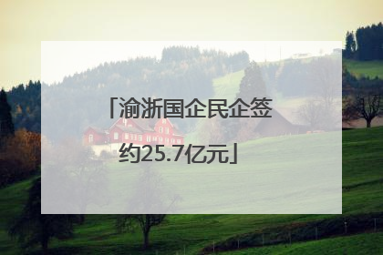 渝浙国企民企签约25.7亿元
