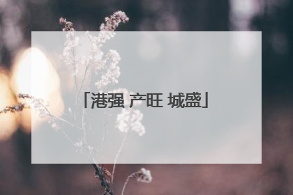 港强 产旺 城盛