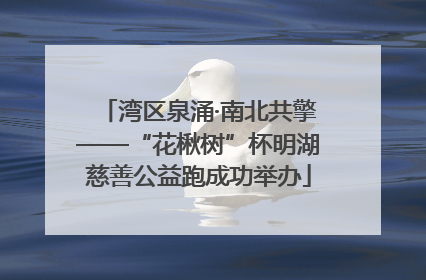 湾区泉涌·南北共擎——“花楸树”杯明湖慈善公益跑成功举办