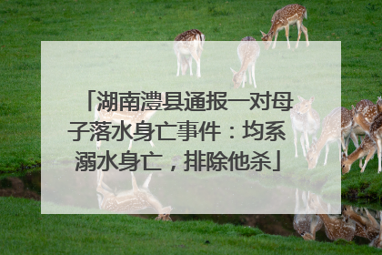 湖南澧县通报一对母子落水身亡事件：均系溺水身亡，排除他杀