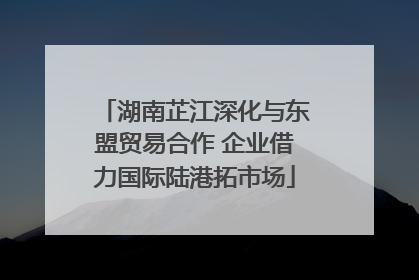 湖南芷江深化与东盟贸易合作 企业借力国际陆港拓市场