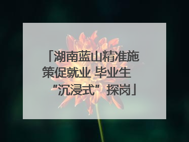 湖南蓝山精准施策促就业 毕业生“沉浸式”探岗
