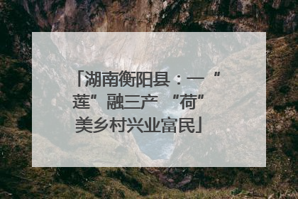 湖南衡阳县：一“莲”融三产 “荷”美乡村兴业富民