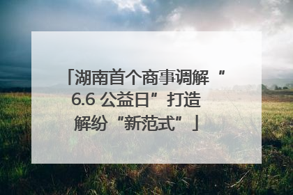 湖南首个商事调解“6.6 公益日”打造解纷“新范式”