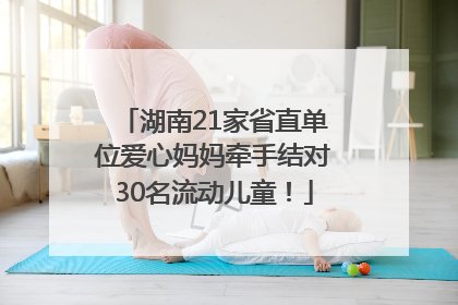 湖南21家省直单位爱心妈妈牵手结对30名流动儿童！