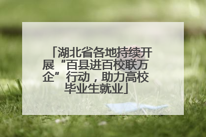 湖北省各地持续开展“百县进百校联万企”行动，助力高校毕业生就业