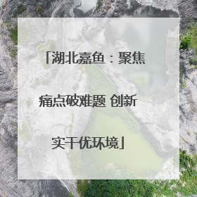 湖北嘉鱼：聚焦痛点破难题 创新实干优环境