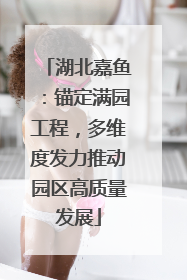 湖北嘉鱼：锚定满园工程，多维度发力推动园区高质量发展