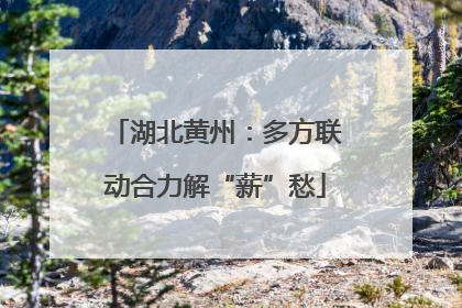 湖北黄州：多方联动合力解“薪”愁