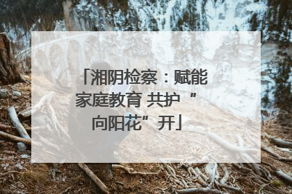 湘阴检察：赋能家庭教育 共护“向阳花”开