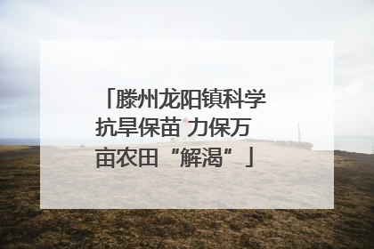滕州龙阳镇科学抗旱保苗 力保万亩农田“解渴”