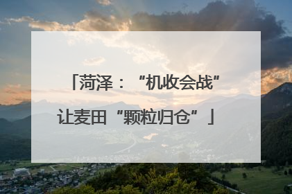 菏泽：“机收会战”让麦田“颗粒归仓”
