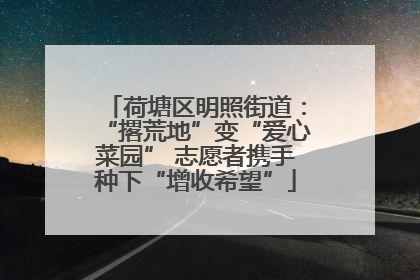 荷塘区明照街道：“撂荒地”变“爱心菜园” 志愿者携手种下“增收希望”