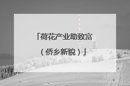 荷花产业助致富（侨乡新貌）