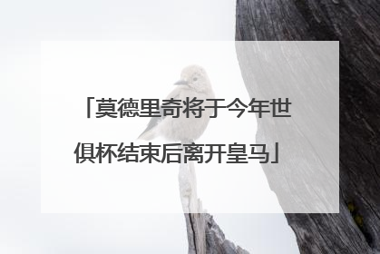 莫德里奇将于今年世俱杯结束后离开皇马