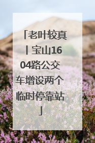 老叶较真丨宝山1604路公交车增设两个临时停靠站