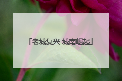 老城复兴 城南崛起